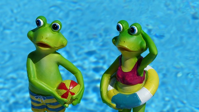 žáby v bazénu