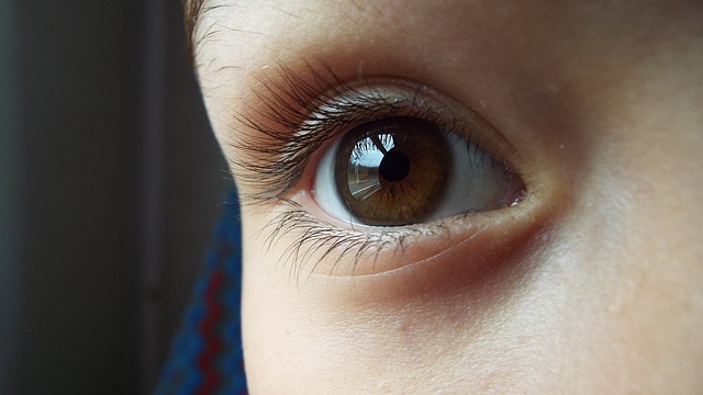 hnědý oči